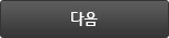 다음